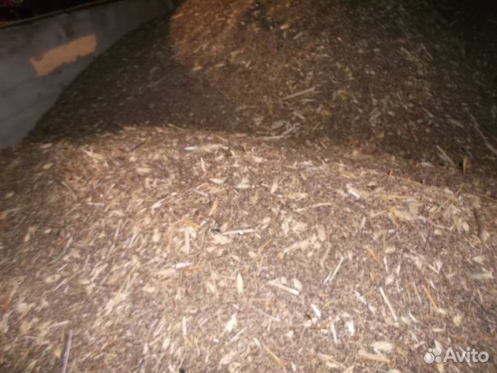 Продам ячмень пшеница отходы