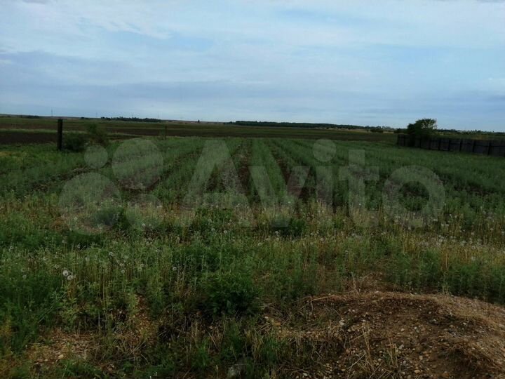 Участок 18 сот. (ИЖС)