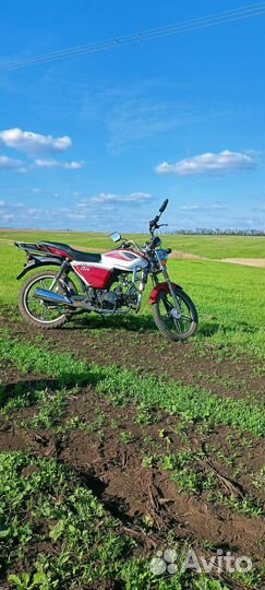 Продам мопед альфа рх 110 кубов