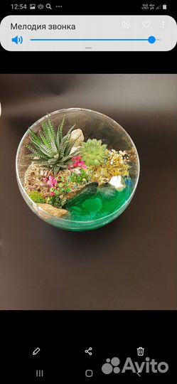 Флорариум. Оригинальный подарок