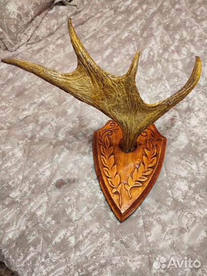 Рога лося на деревянном медальоне