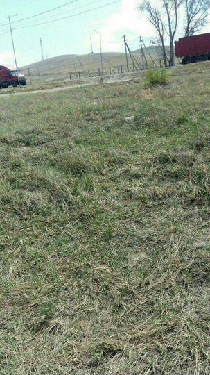 Участок 41 сот. (ИЖС)