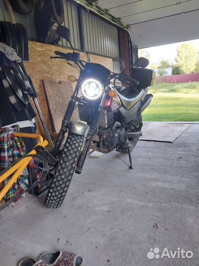 Stels Десна Фантом