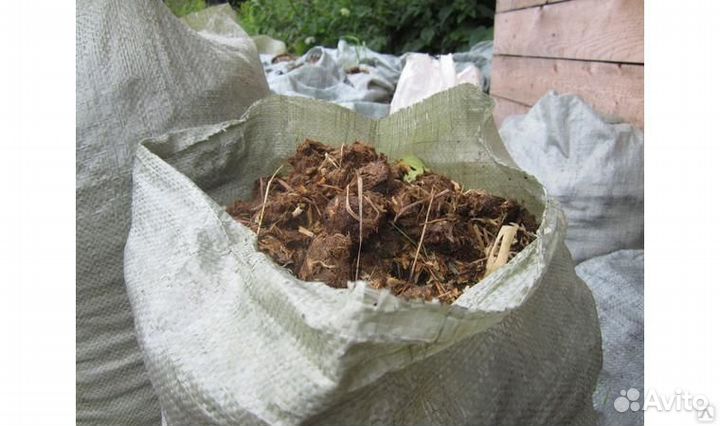 Конский навоз