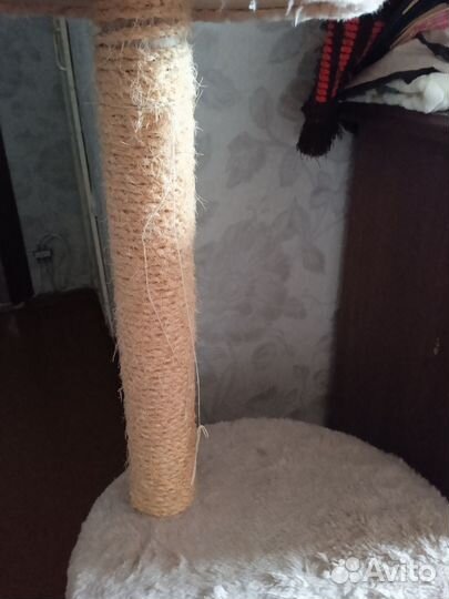 Домик когтеточка