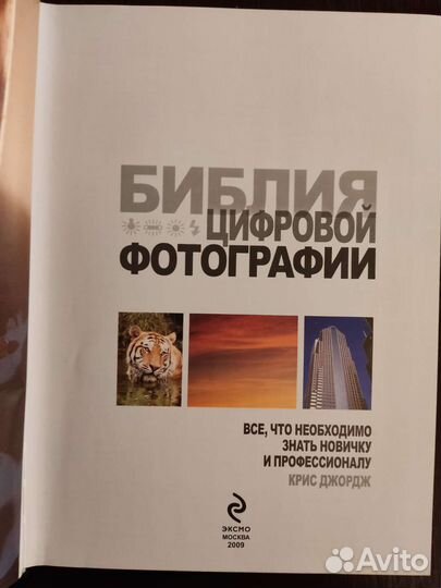 Цифровая фотография