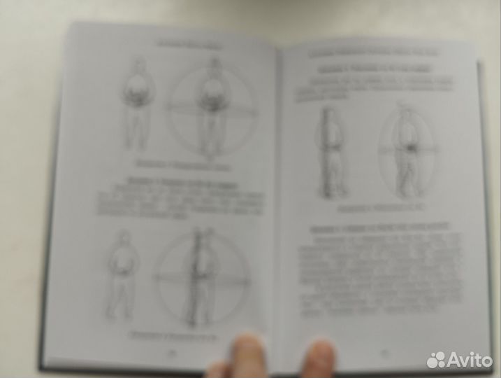 «Алхимия Багу-Чжан»