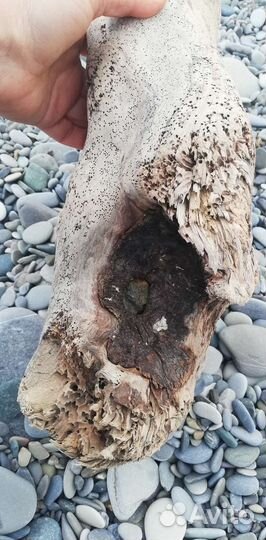 Коряга дрифтвуд для аквариума, и творческих идей