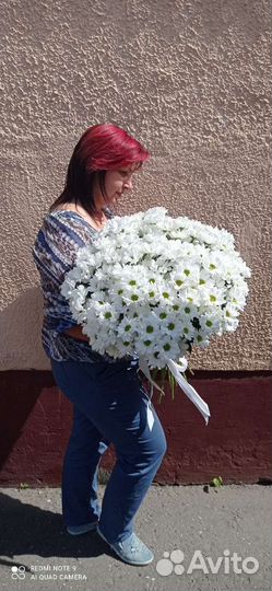 Белые ромашки