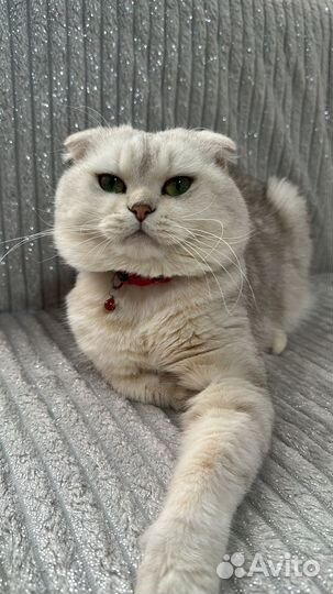 Вчзка