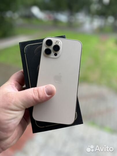 iPhone 12 Pro Max, 256 ГБ
