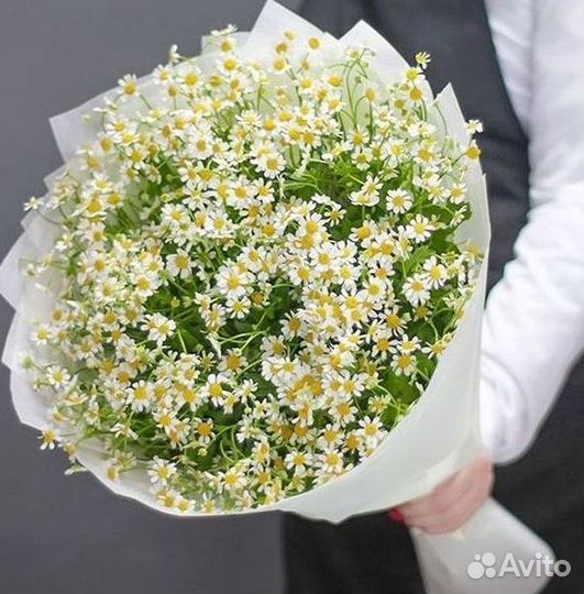 Ромашки букет