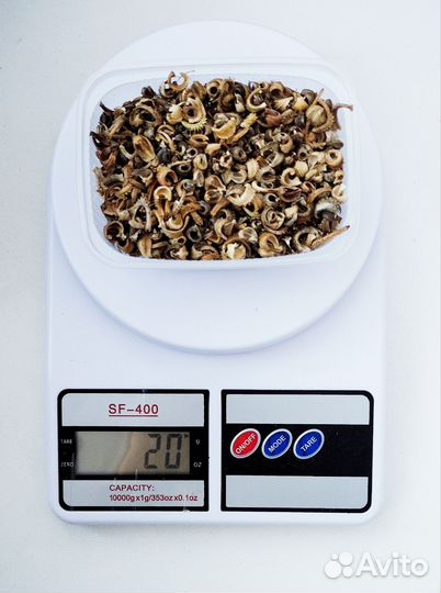 Семена календулы