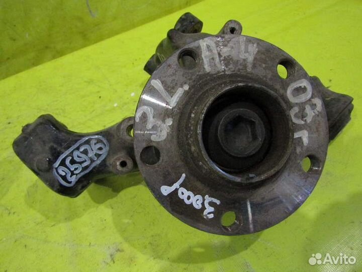 Цапфа задняя Audi A4 (B6) 00-05 г 25976