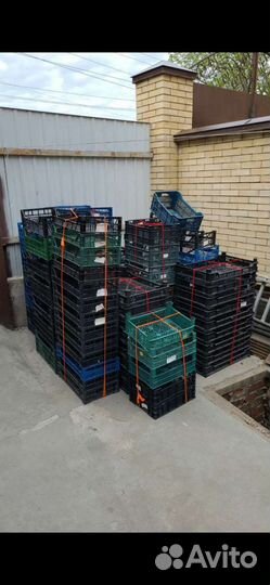 Пластиковые ящики для овощей бу