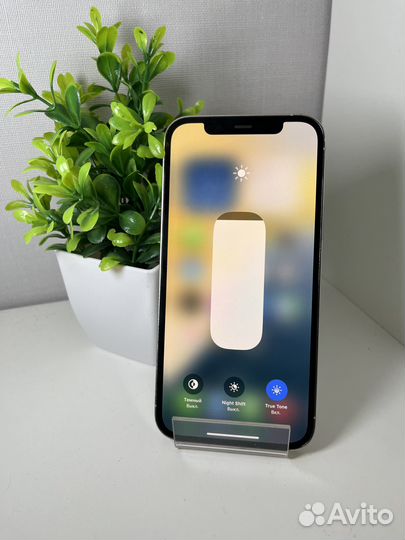 iPhone 12 Pro, 256 ГБ