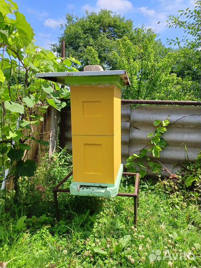 Улей с пчелами