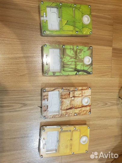 Инкубатор для муравьев