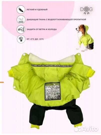Одежда для собак мелких пород