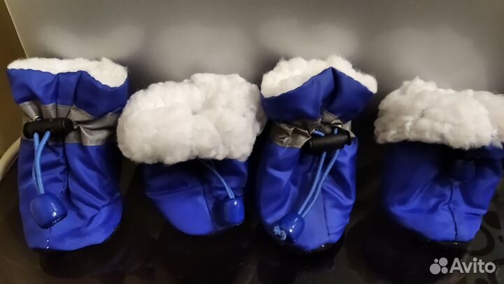 Ботиночки для собак