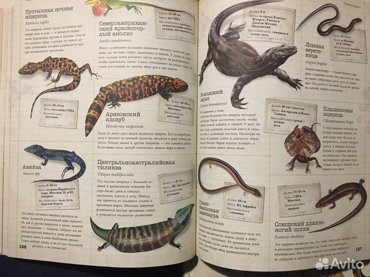 Энциклопедии