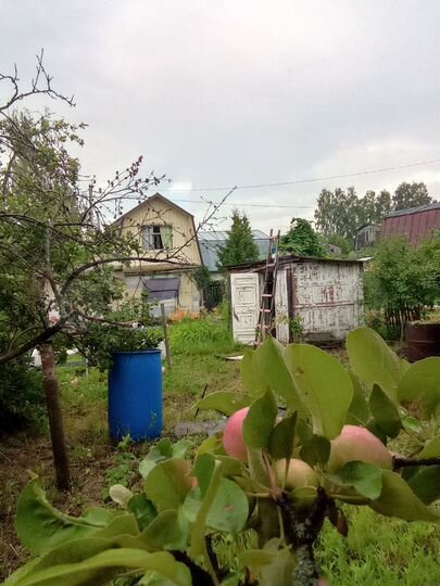 Дача 26 м² на участке 3 сот.