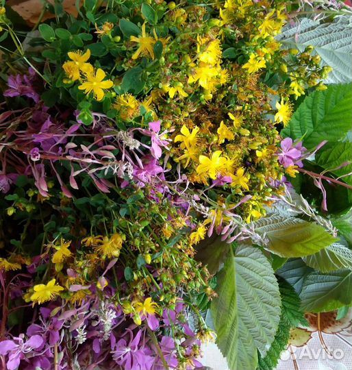 Травяной сбор для чая