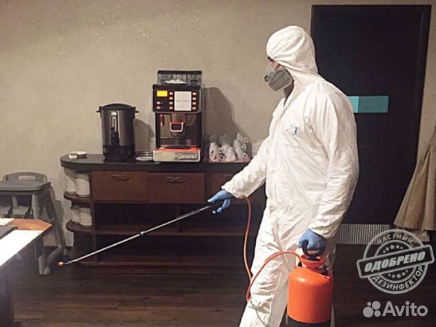 Уничтожение клопов тараканов дезинфекция плесени