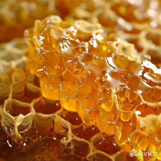 Алтайский мёд (оптом)