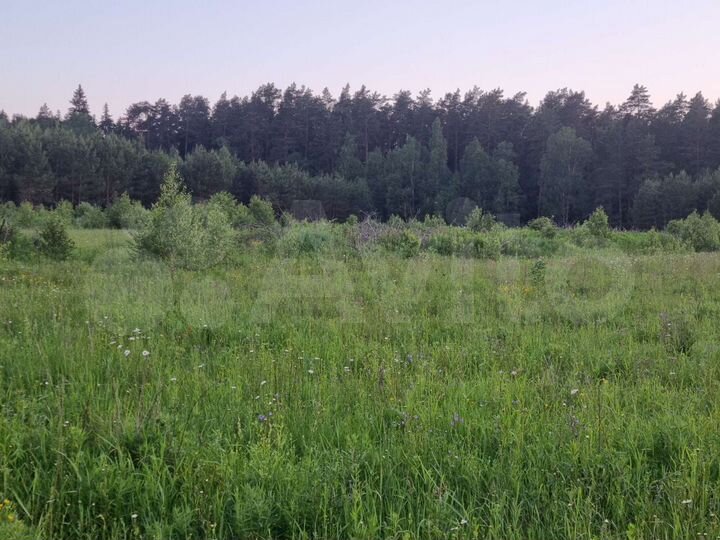 Участок 8 сот. (СНТ, ДНП)