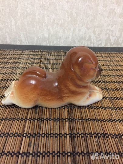 Собака чау чау лфз