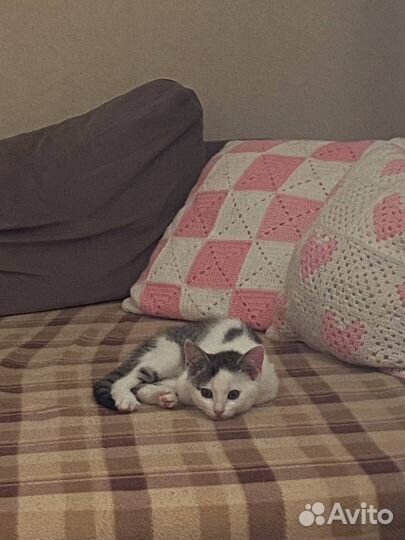 Уроки вязания