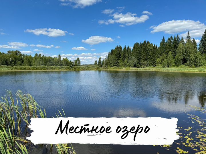 Участок 16,8 сот. (СНТ, ДНП)