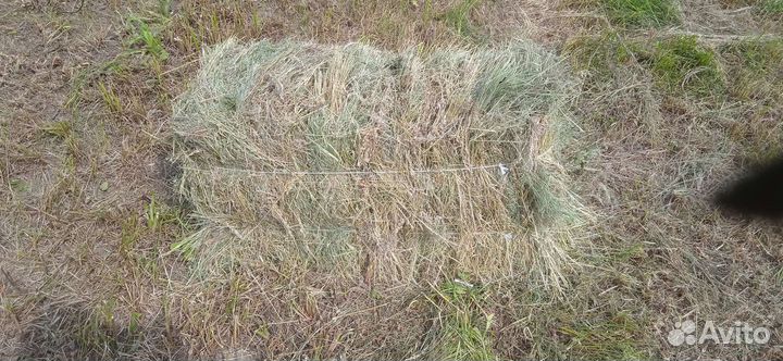 Сено в тюках