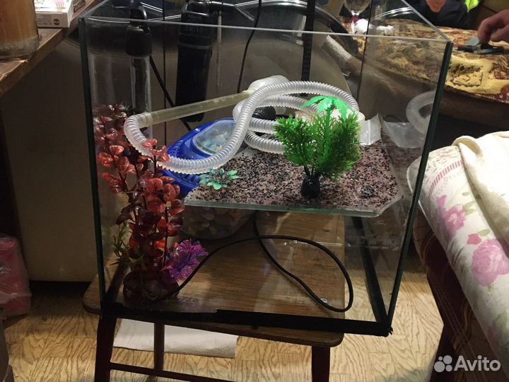 Аквариум для красноухой черепахи