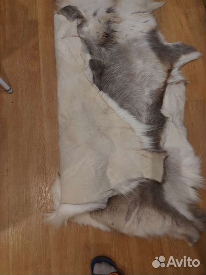 Ковер из шкуры волка