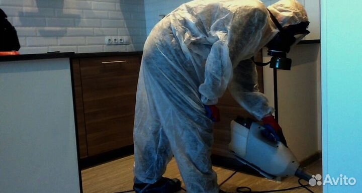 Уничтожение грызунов, насекомых, плесени, запахов