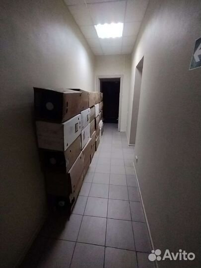 Пэт кеги 30 л