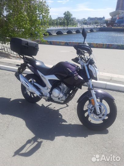 Yamaha fazer YS250