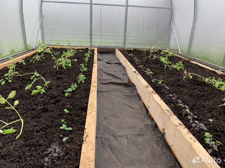 Тофосмесь - Торф + Чернозем + Песрк + Биогумус