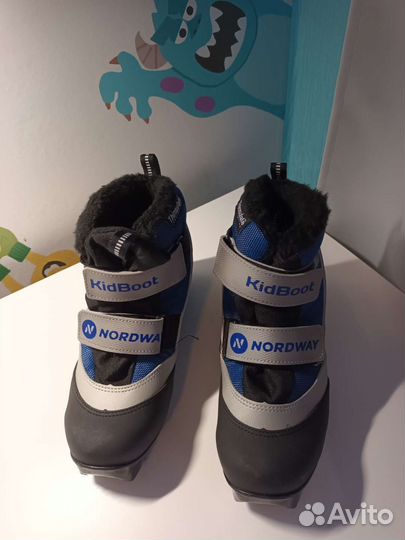 Лыжные ботинки