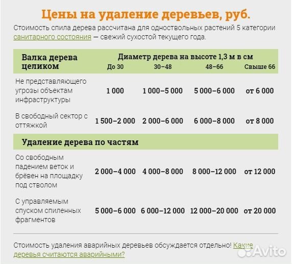 Спил деревьев