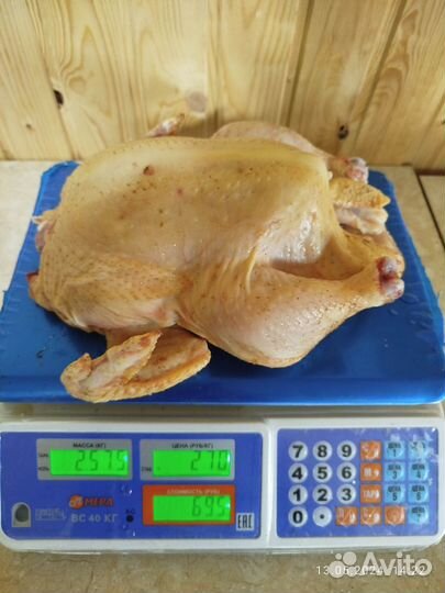 Мясо домашнего бройлера