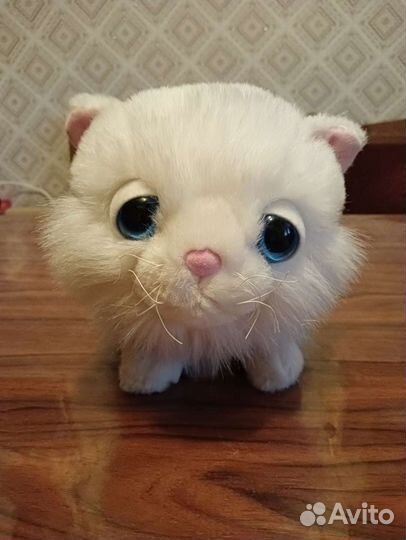 Мягкая игрушка Белый персидский котик