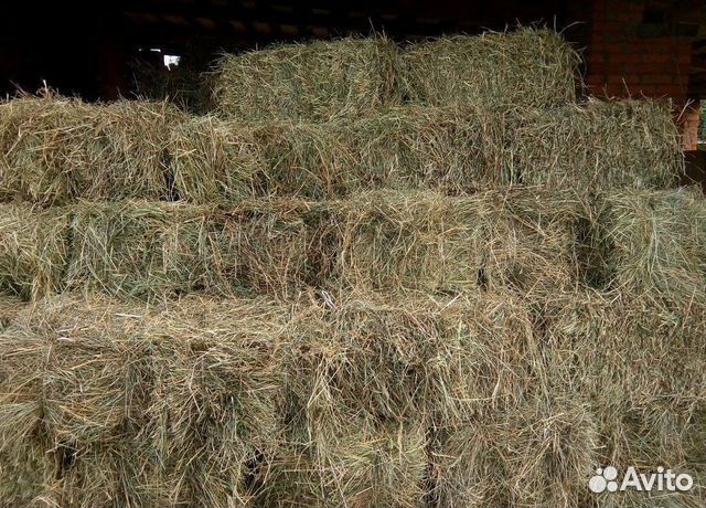 Сено в тюках плотное разнотравье