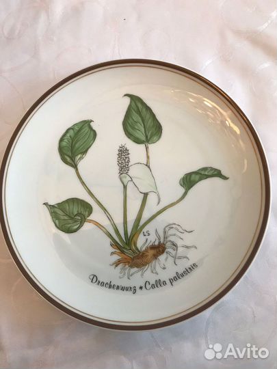 Фарфоровая тарелка Drachenwurz Rosenthal