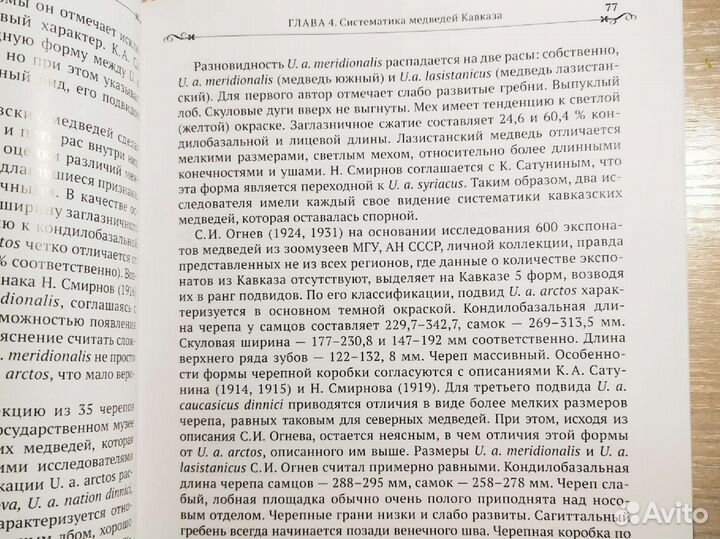 Монография Бурый медведь на Кавказе