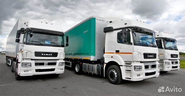 Водитель-экспедитор категории Е