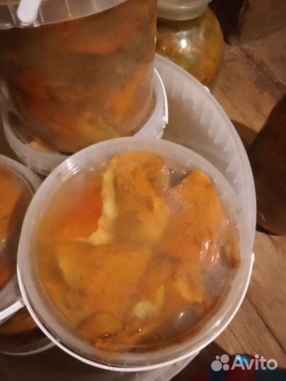 Рыжики соленые