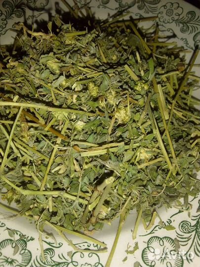 Якорцы стелющиеся резанные